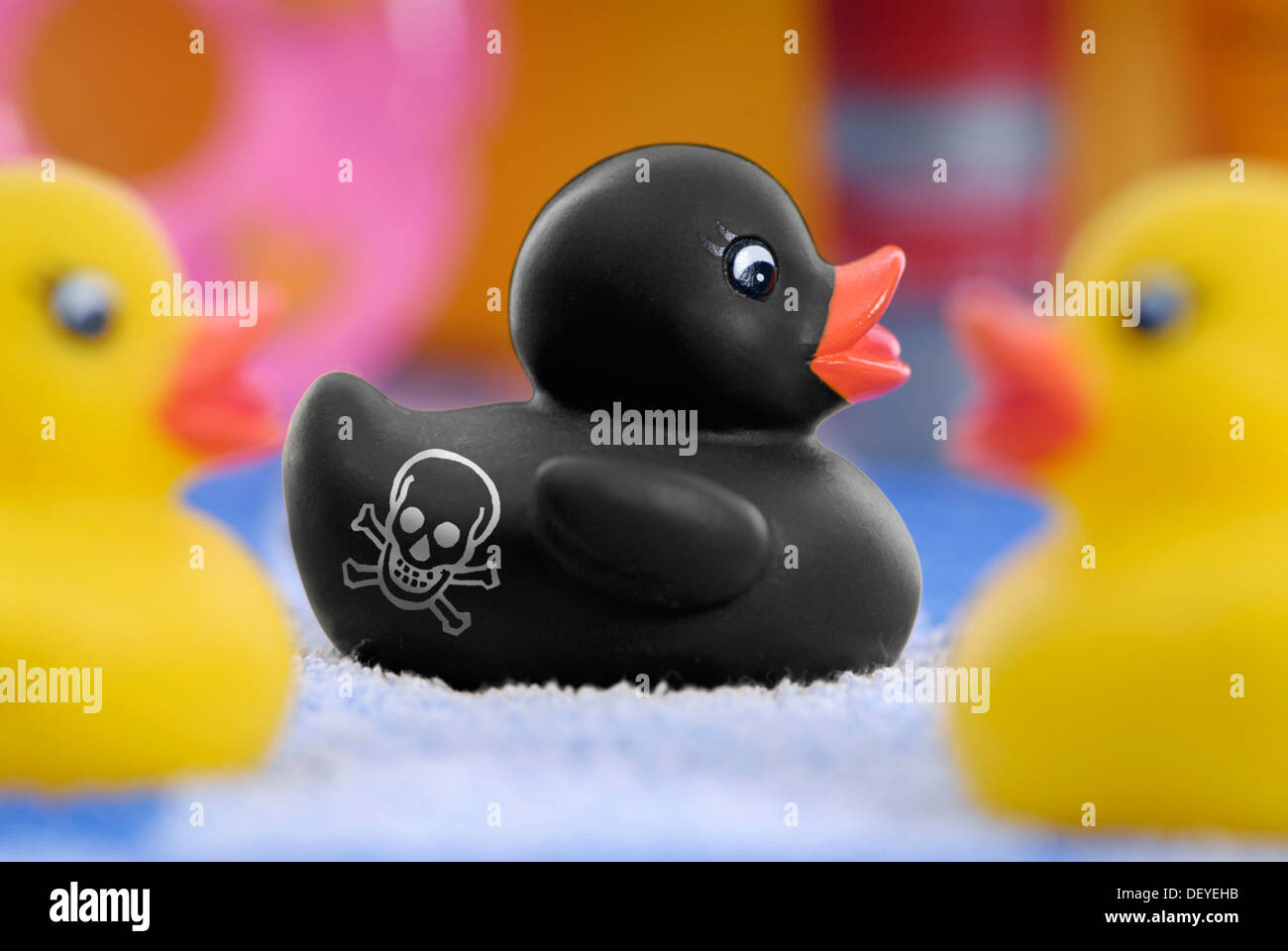 Schwarze Quietscheente mit einem Totenkopf gekennzeichnet als Warnung vor giftigen Stoffen, Pak in Gummiprodukten Stockfoto