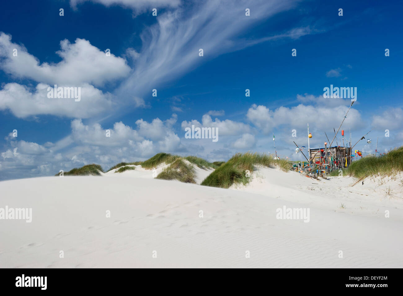 Dünen, Sandstrand und eine Hütte aus Treibgut, Kniepsands, Amrum, Amrum, Nordfriesischen Inseln, Schleswig-Holstein, Deutschland Stockfoto