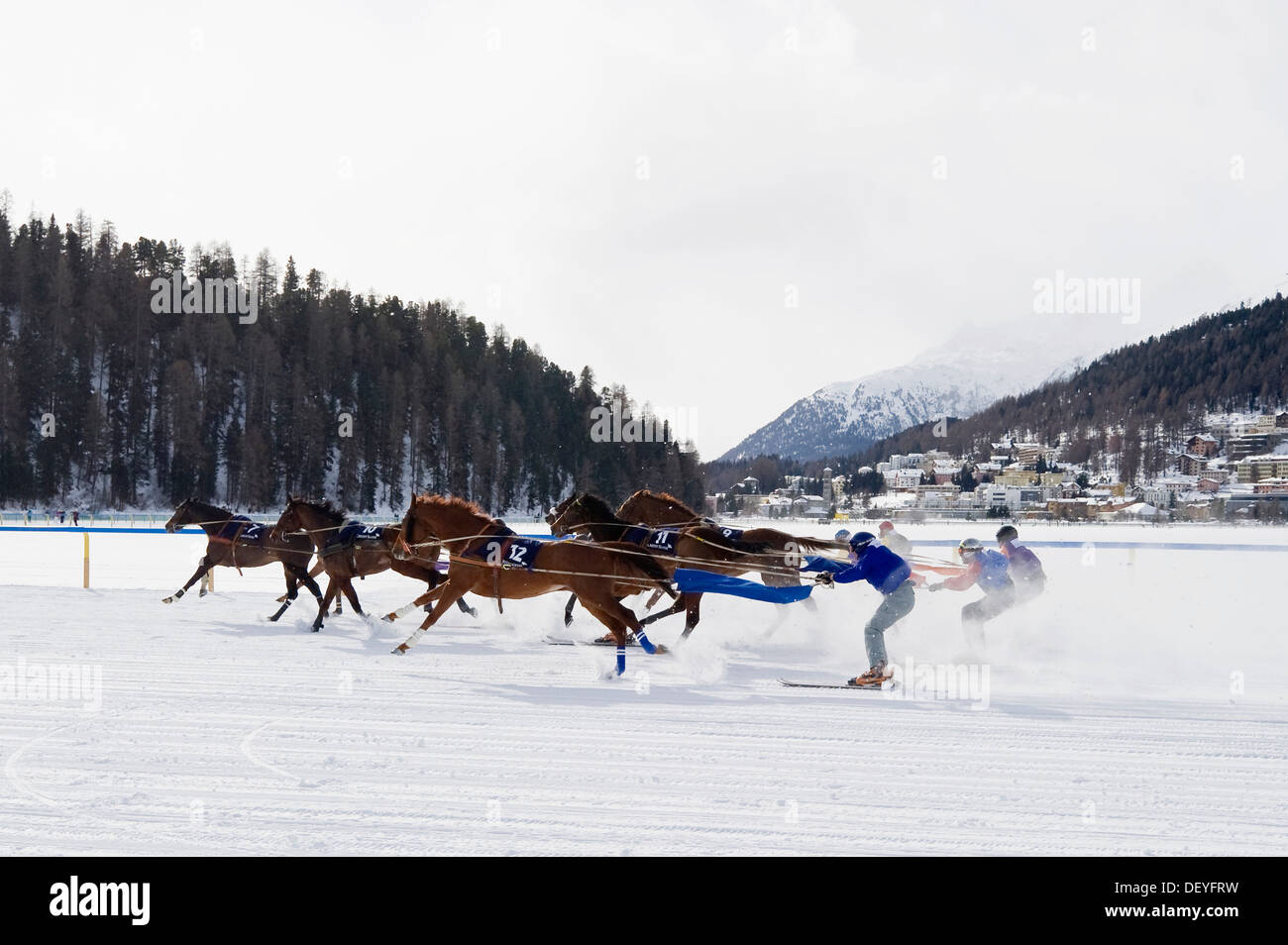 Pferderennen auf einem zugefrorenen See, Skijöring, St. Moritz, Engadin, Graubünden, Schweiz Stockfoto