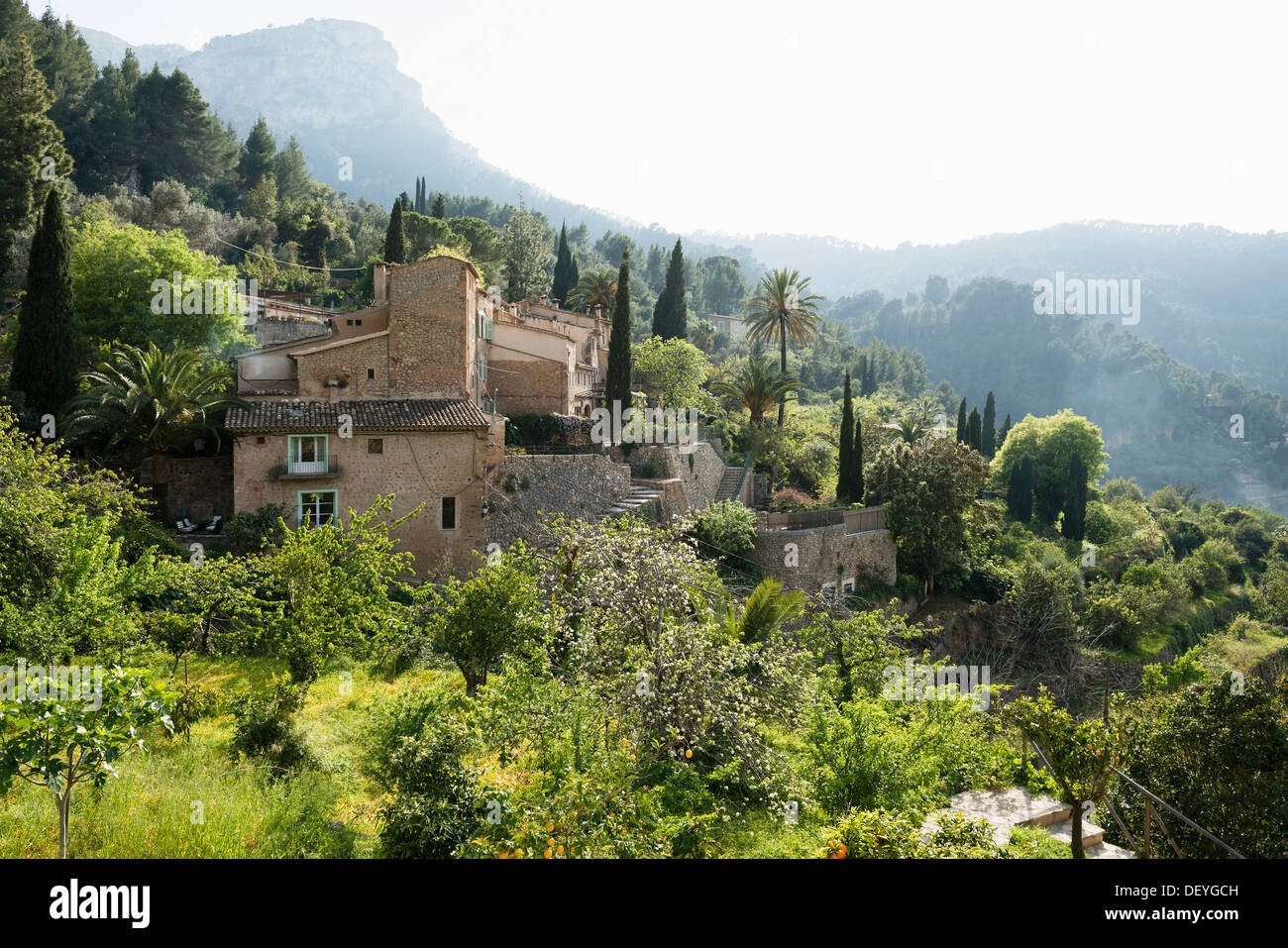 Häuser mit Gärten und die Berge, Deia, Mallorca, Balearen, Spanien Stockfoto