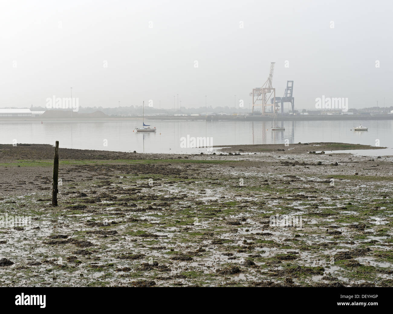Am Flussufer Hafen im Nebel mit Wattenmeer und festgemachten Jachten. Parkeston International Port auf dem Fluss Stour, Essex, UK Stockfoto