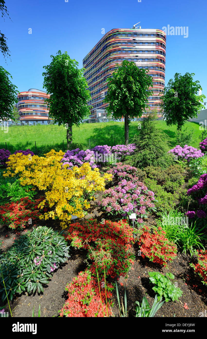 Blumenbeete auf die Internationale Gartenschau in Wilhelms Burg, Hamburg, Deutschland, Europa, Blumenbeete Auf der Internatio Stockfoto