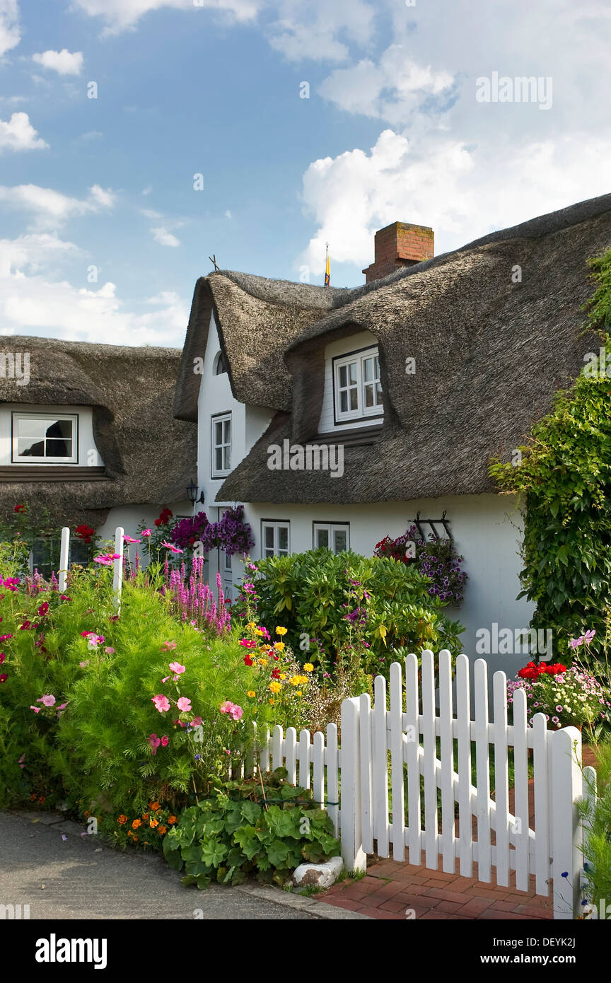 Reetgedeckten Haus mit einem Bauerngarten, Nebel, Amrum, Nordfriesischen Inseln, Schleswig-Holstein, Deutschland Stockfoto