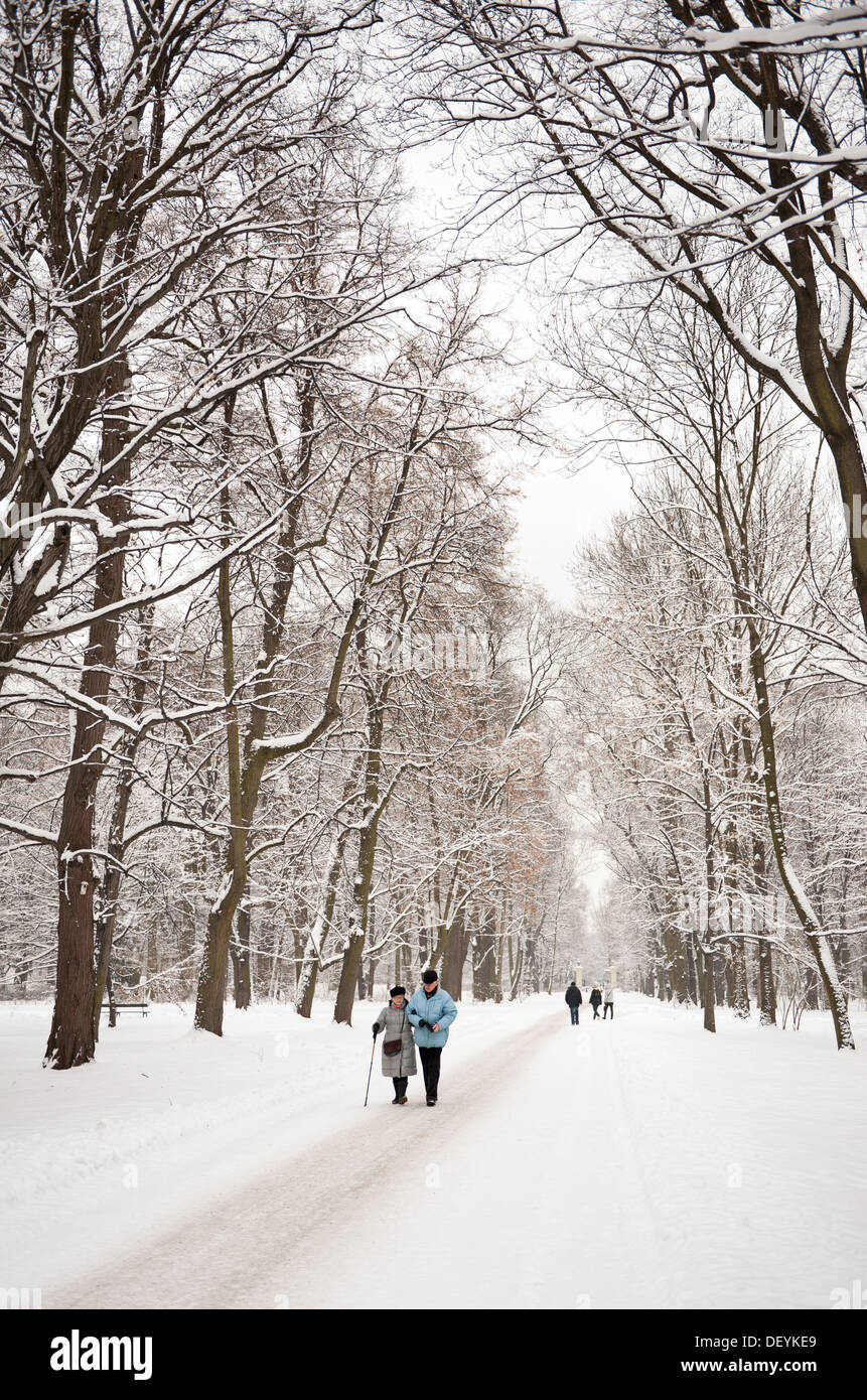 Im Alter von Touristen paar Wandern im verschneiten park Stockfoto