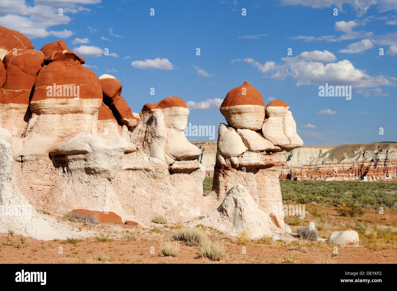 Bunte Hoodoos, Steinsäulen, Sandstein-Formationen, Blue Canyon, Arizona, Vereinigte Staaten von Amerika Stockfoto