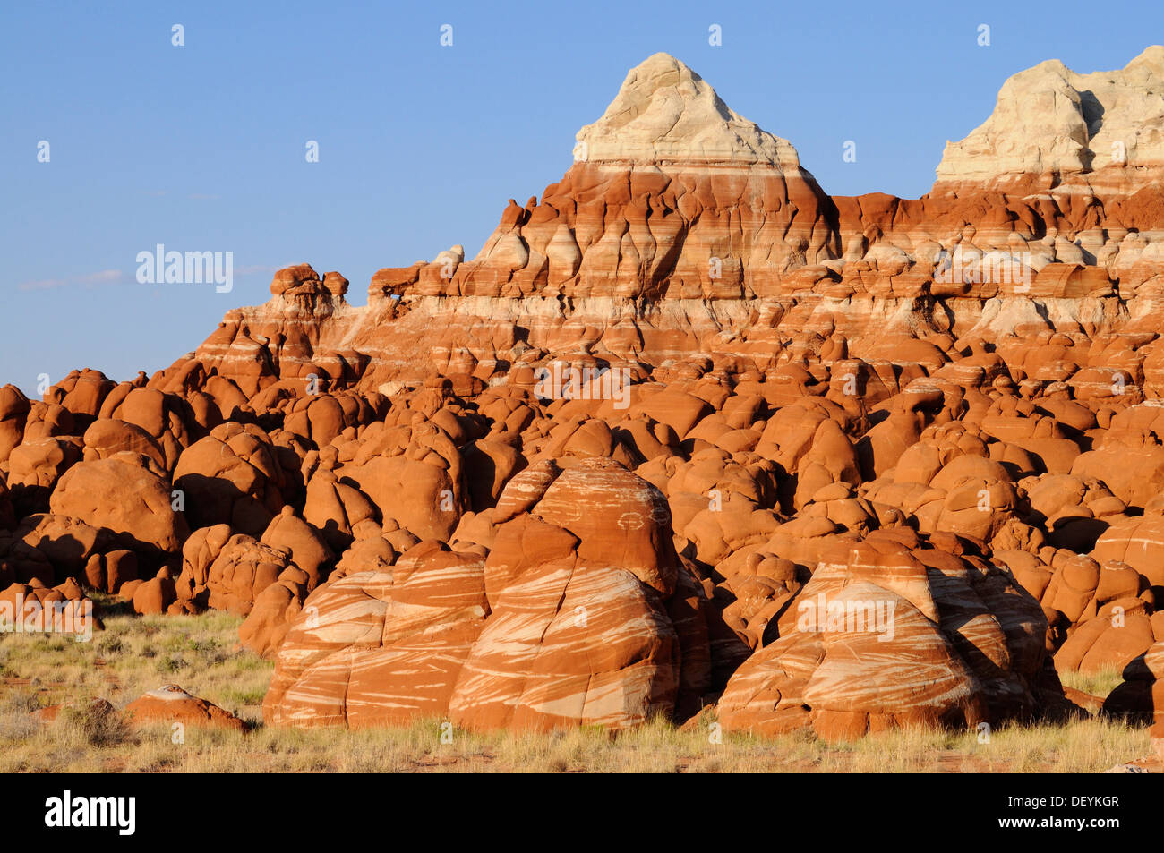 Bunte Hoodoos, Steinsäulen, Sandstein-Formationen, Blue Canyon, Arizona, Vereinigte Staaten von Amerika Stockfoto