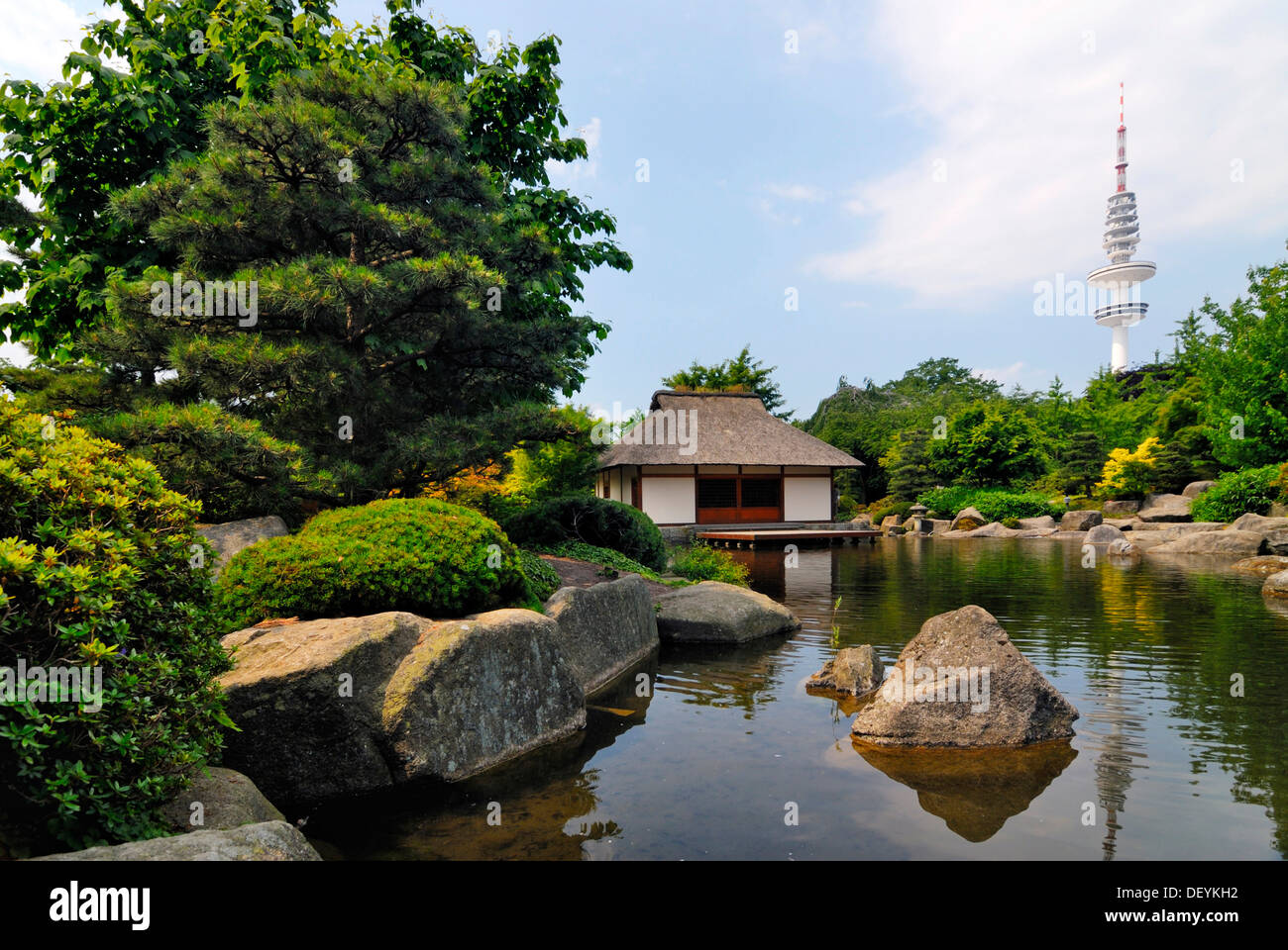 Japanischer Garten In Planten Un Blomen Garten Bezirk Mitte Hamburg Stockfotografie Alamy
