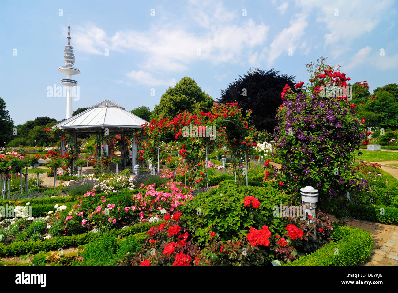 Planten un blomen Fotos und Bildmaterial in hoher Auflösung Alamy