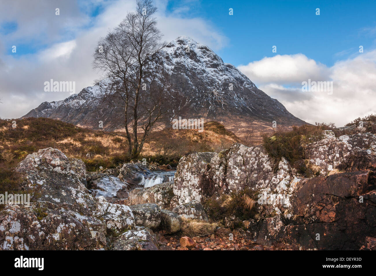 Winter-Szene, Buchaille Etive Mor, Rannoch Moor, Schottland, Vereinigtes Königreich Stockfoto