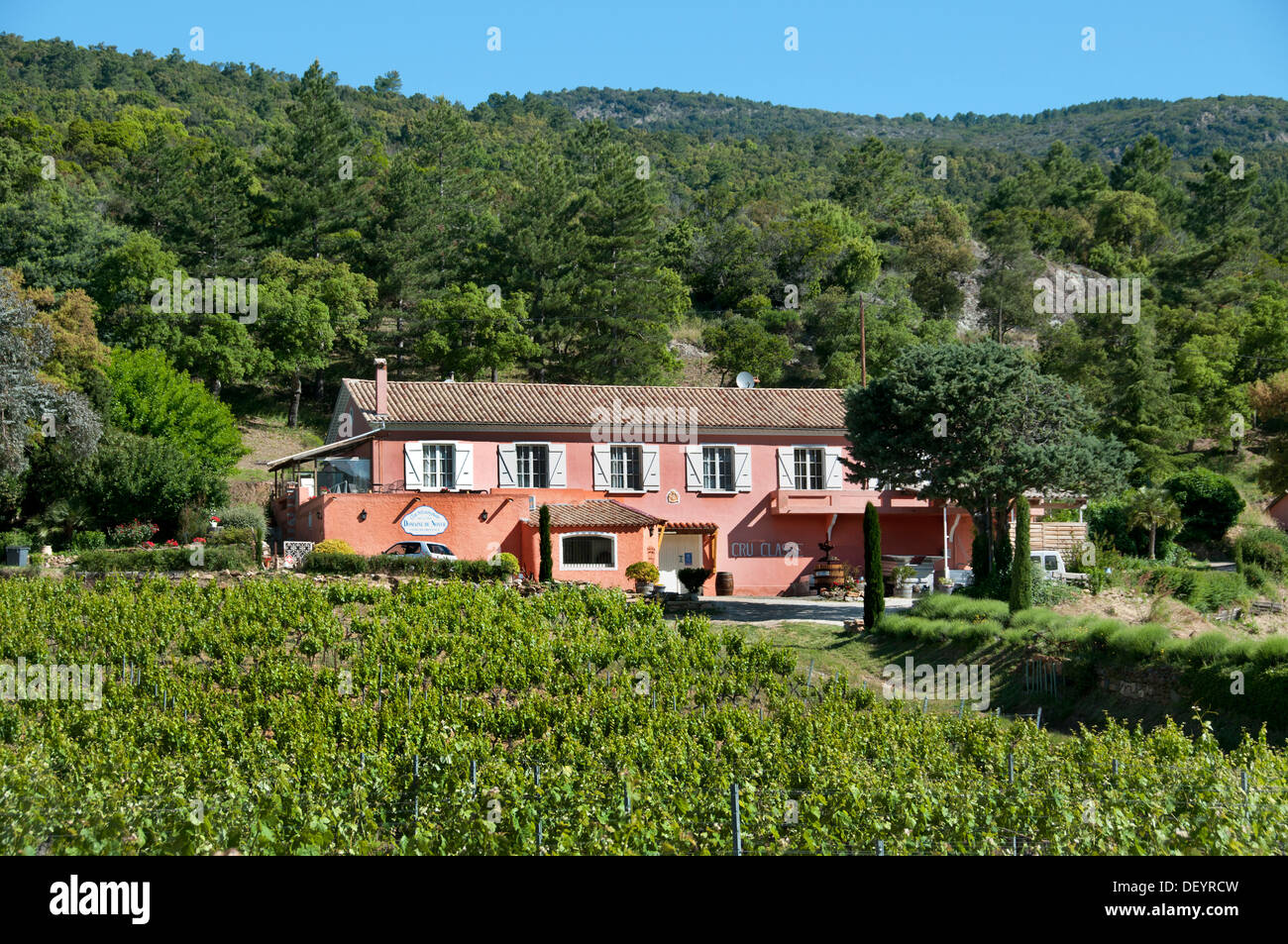 Domaine du Noyer Frankreich Wein Ernte Vintage Trauben Weinberg Landwirtschaft Cotes de Provence Stockfoto