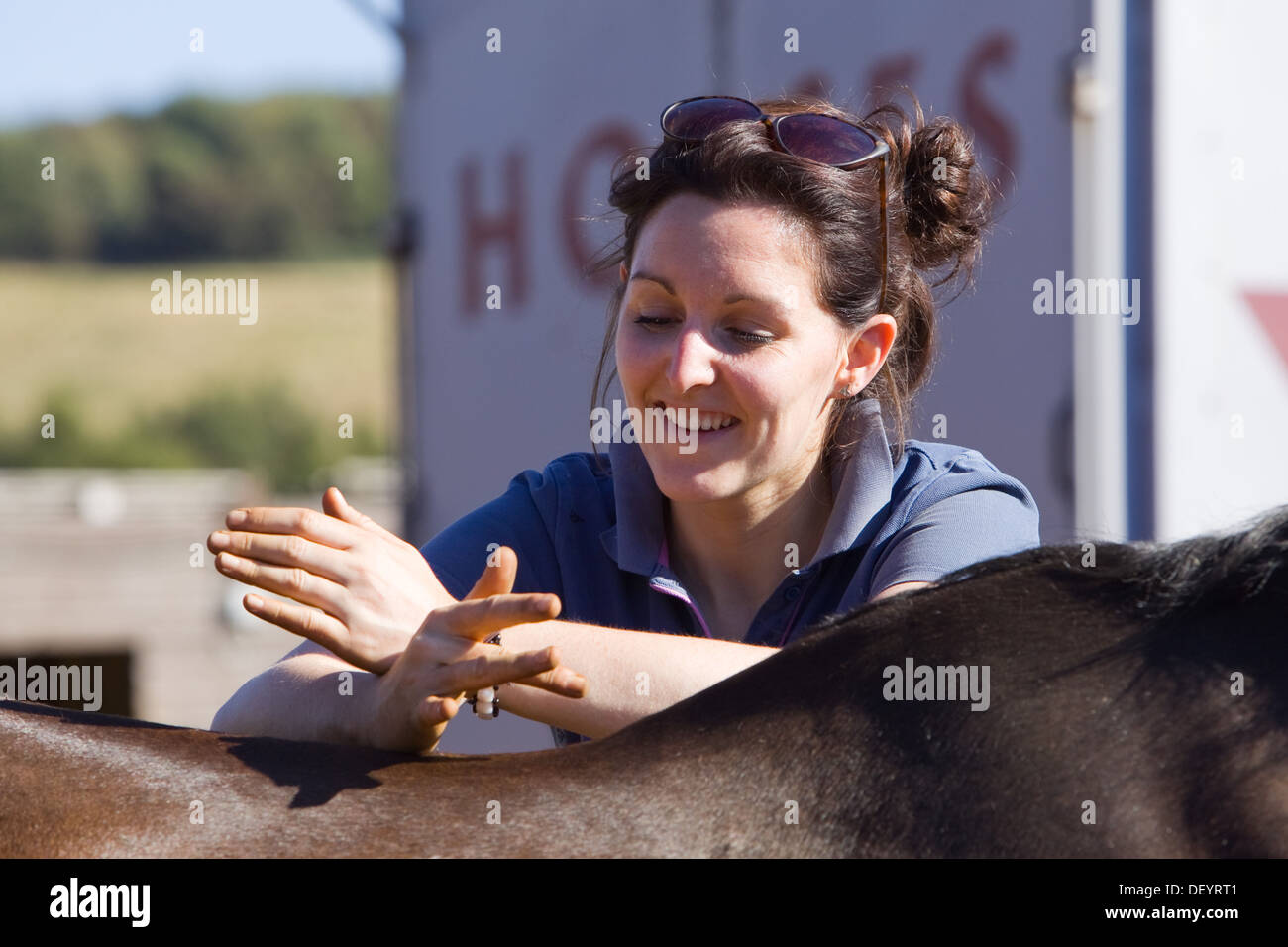 McTimoney-Corley spinale Therapie auf einem Pferd durch einen Tier-Sport-Therapeuten durchgeführt. Stockfoto