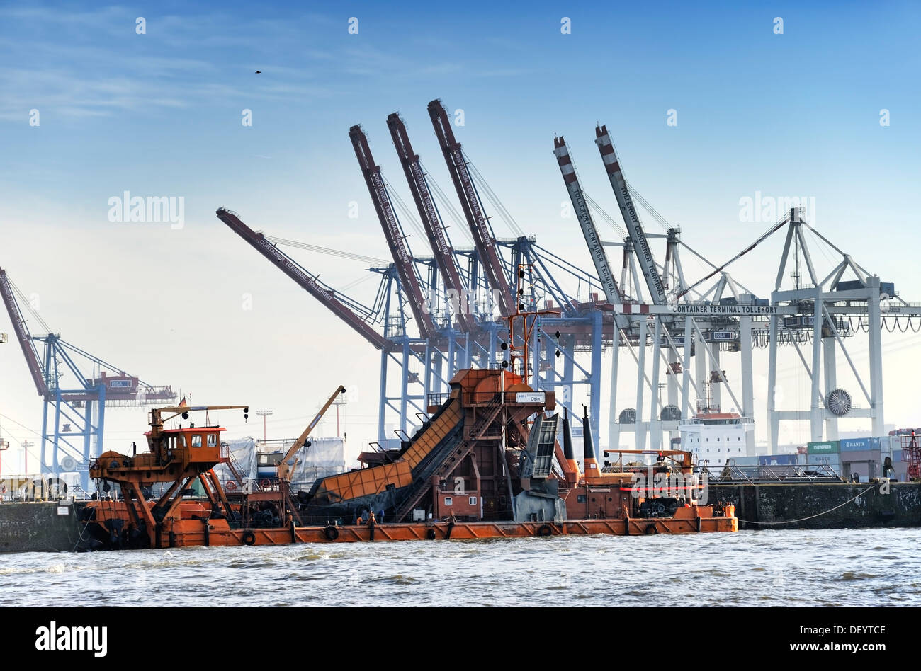 Vertiefung der Elbe: Odin Bagger vor Tollerort Container-terminal, Hafen Hamburg, Hamburg Stockfoto