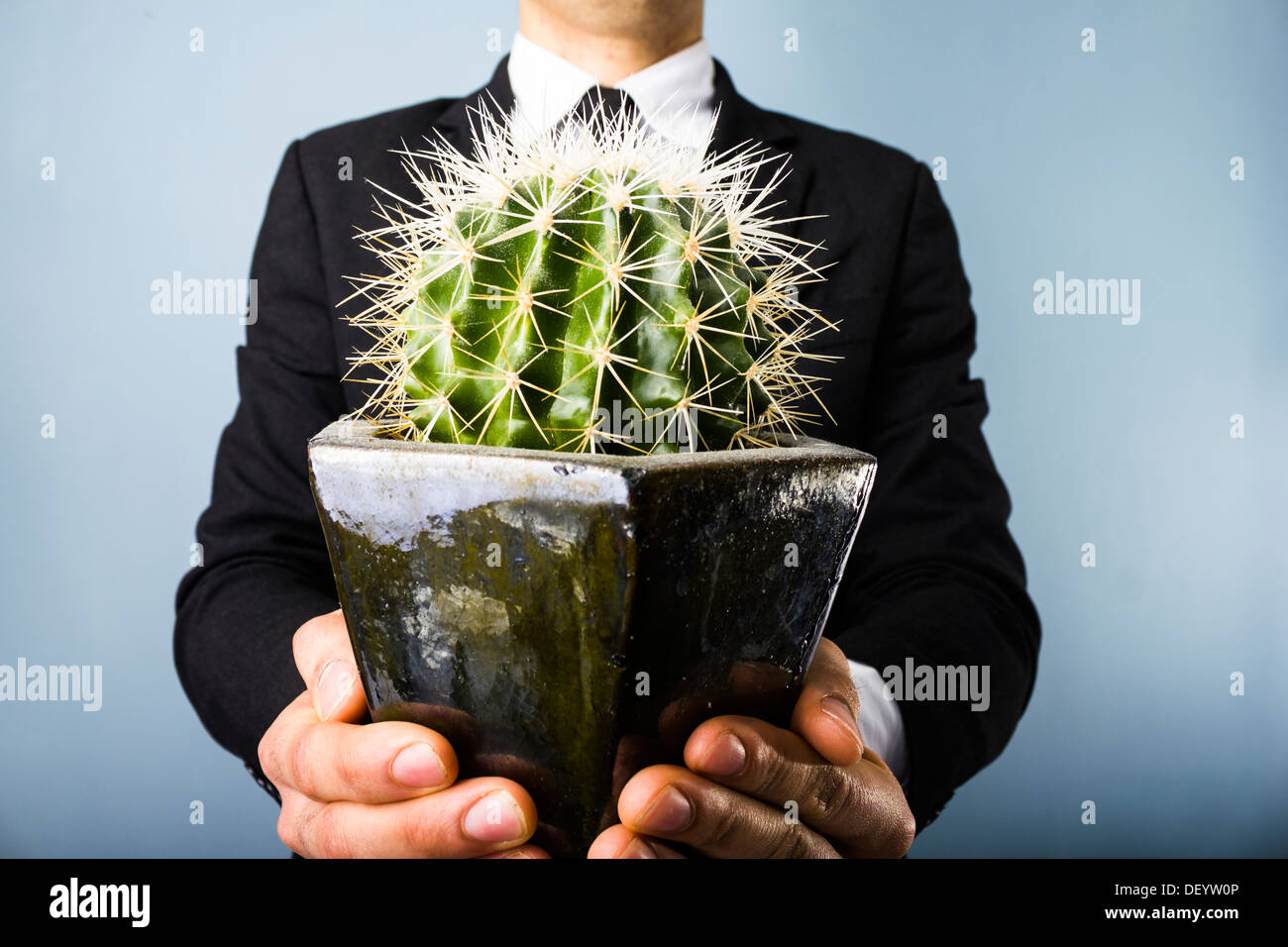 Junger Geschäftsmann mit einem Kaktus Stockfoto