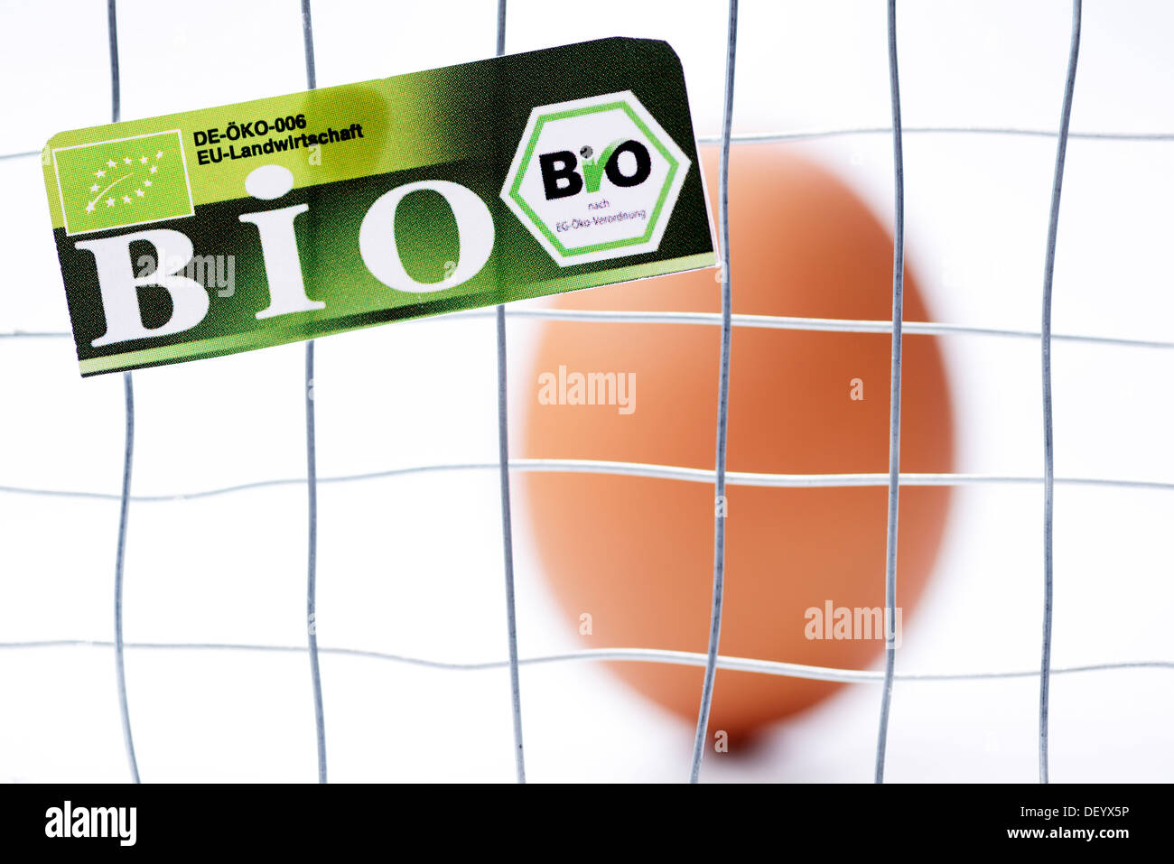 Hühnerei hinter Käfig-Bars mit Bio-Siegel, symbolisches Bild für falsch etikettierter Bio-Eiern, Deutschland Stockfoto