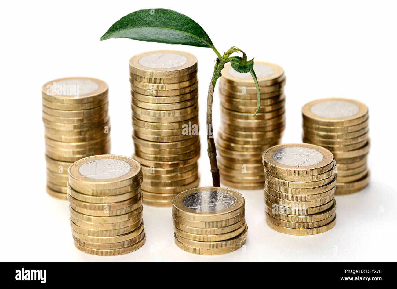 Grüner Trieb wächst dazwischen Münzen, symbolisches Bild für Investitionen, Deutschland Stockfoto