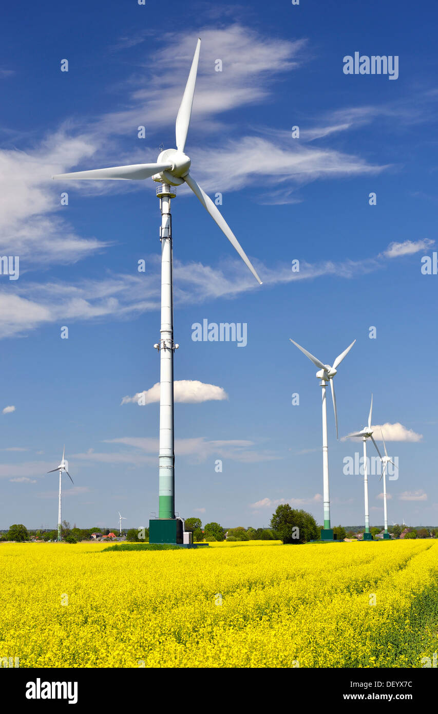 Windkraftanlagen und Rapsfeld, Vierlande und Marschlande, Hamburg, Hamburg, Deutschland Stockfoto