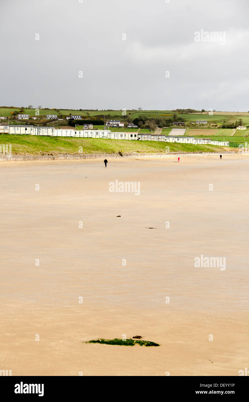 Bei Ebbe Strand am Ardmore, ein beliebter Badeort und Fischerdorf im County Waterford, Irland Stockfoto