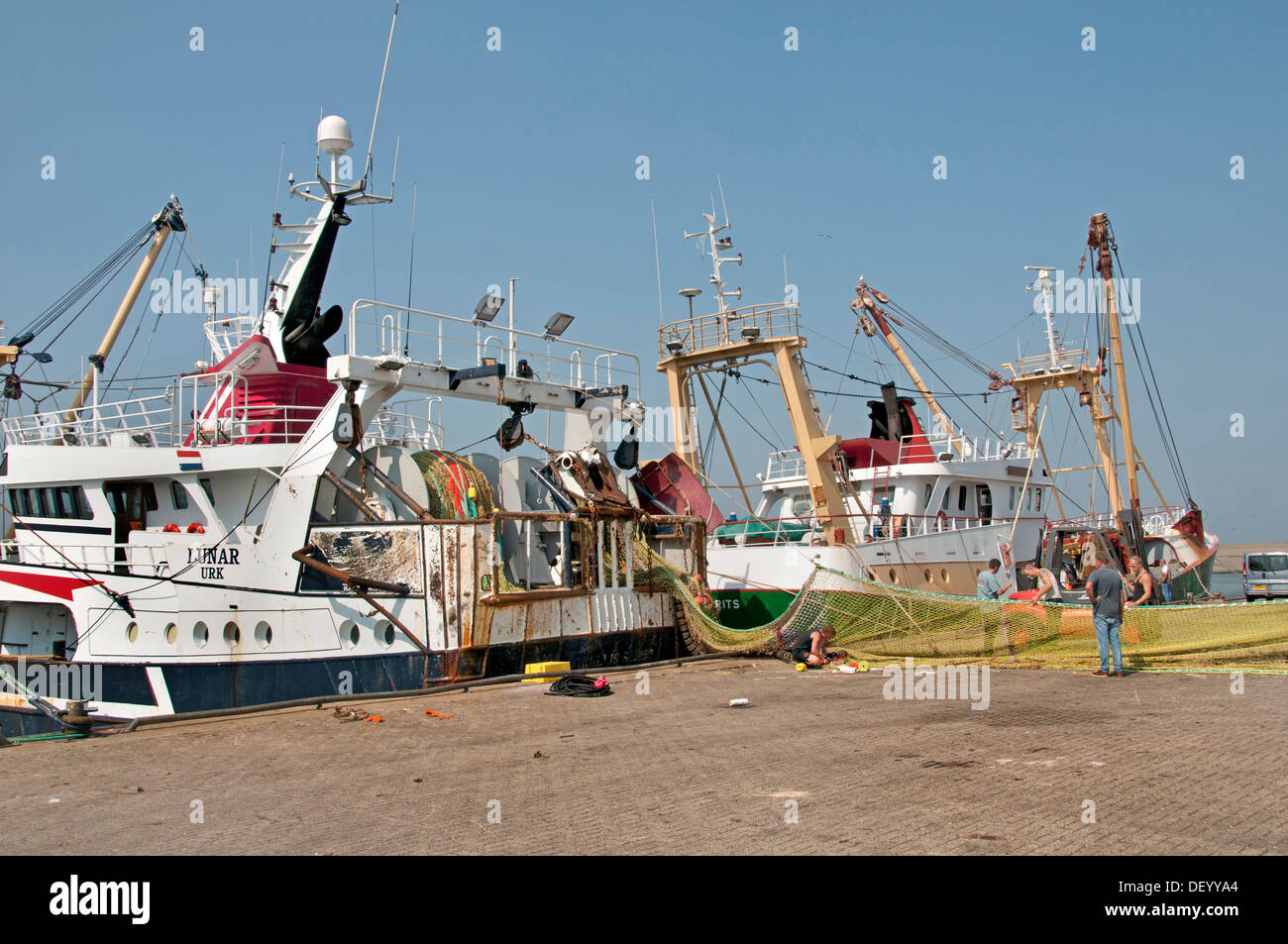 Harlingen Fischereihafen mit einer Fisch-Auktion-Funktion und einem Heimathafen für Harlingen En Urker Kutter Niederlande Friesland Stockfoto