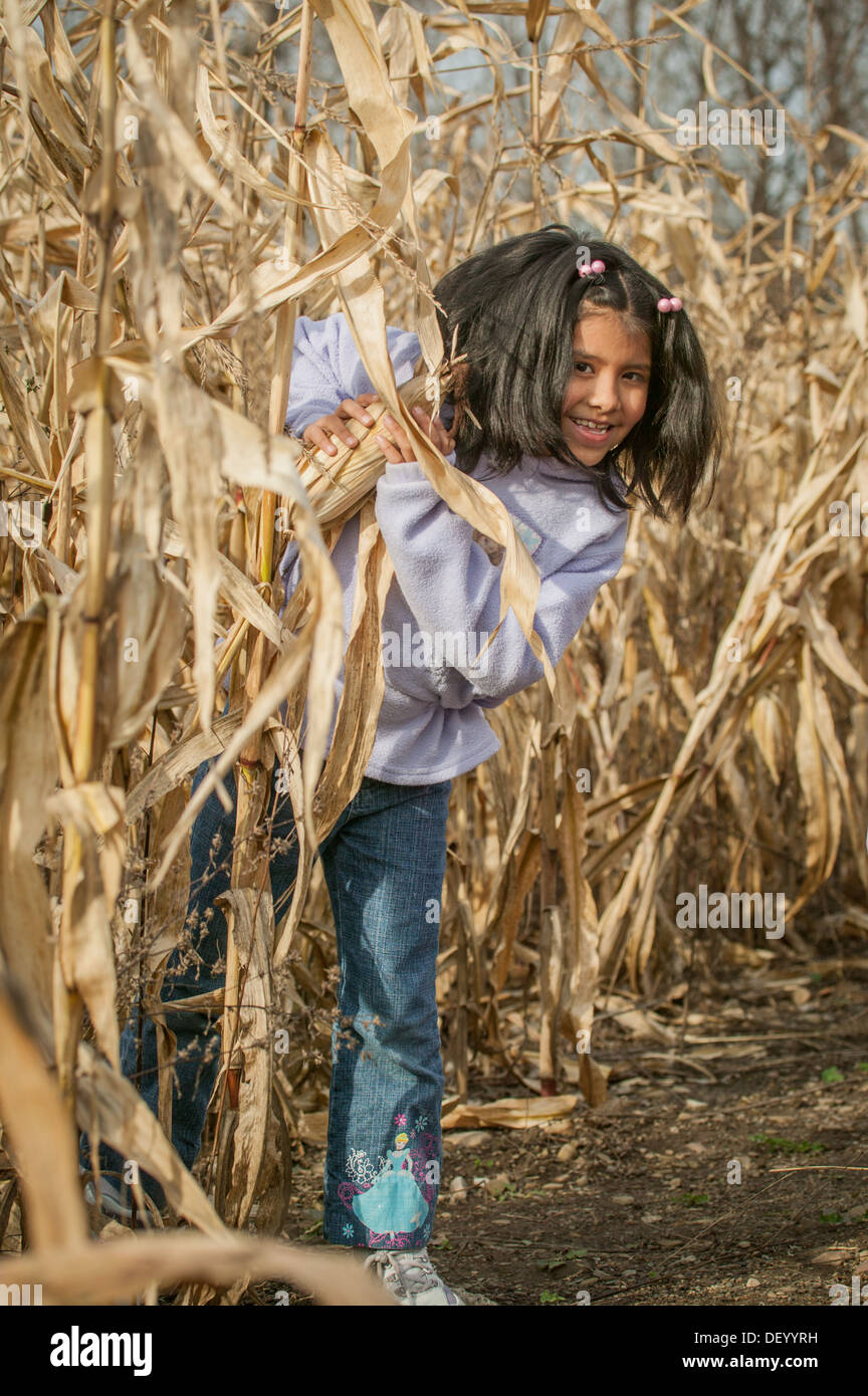 Mädchen, Latina, in Mais Labyrinth, Bundesstaat New York, Mohawk Valley Stockfoto