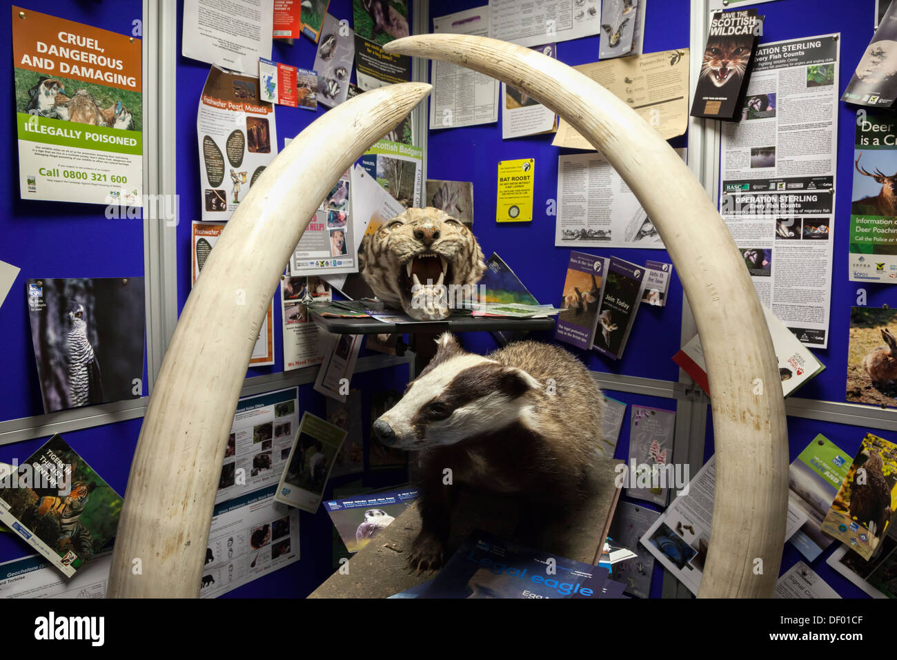 Tierwelt Kriminalität Display, National Wildlife Crime Unit, Livingston, Schottland, Juli 2013 Stockfoto
