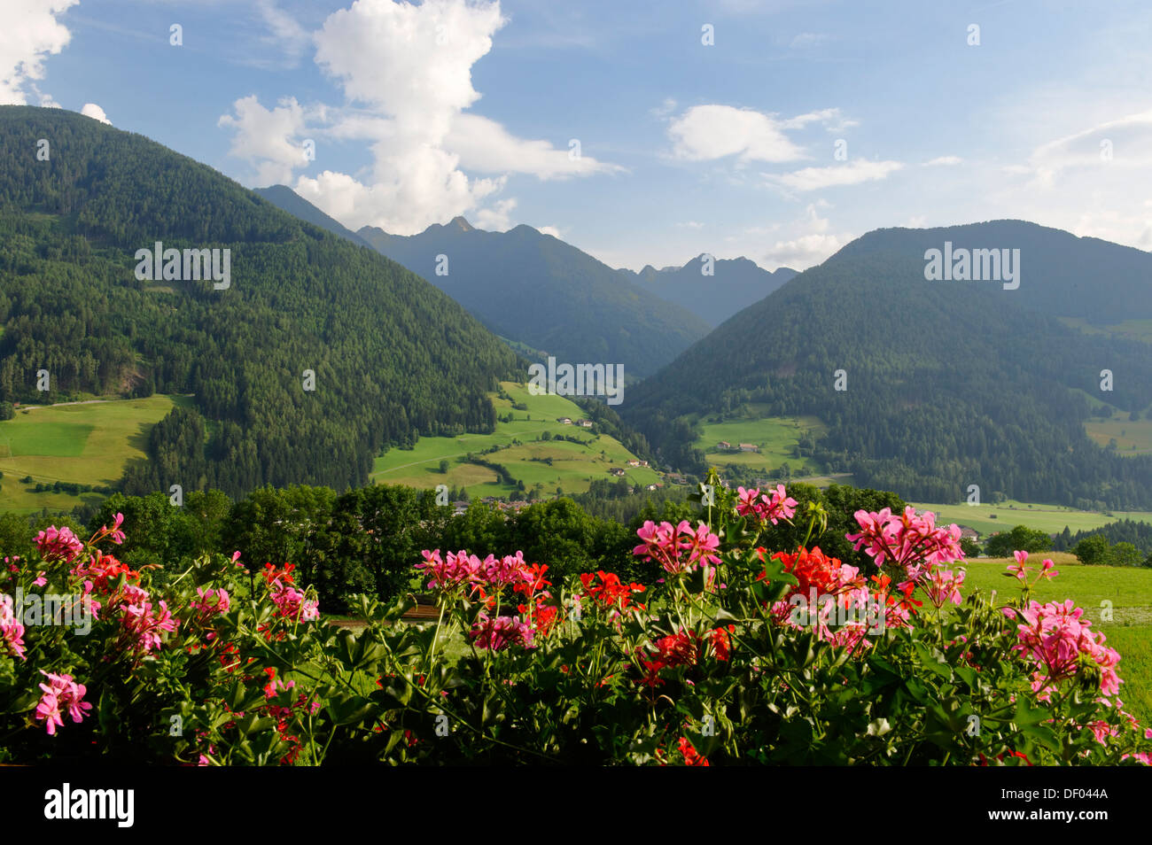 Blick über das Ridnauntal-Tal zu den Jaufenpass, Südtirol, Alto Adige, Italien, Europa Stockfoto