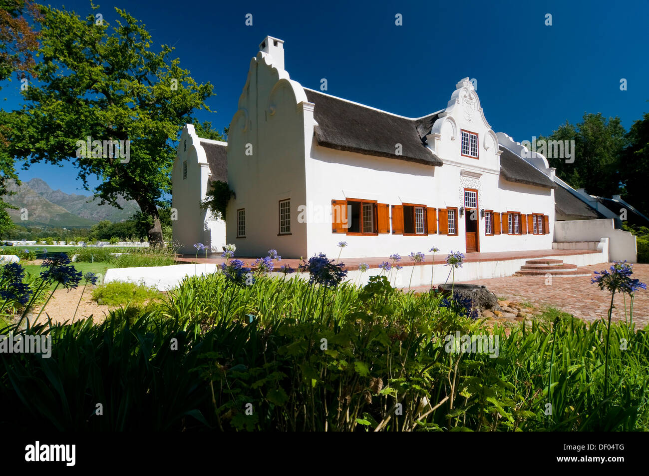 Haupthaus, Weingut Blaauwklippen, Stellenbosch, Western Cape, Südafrika, Afrika Stockfoto