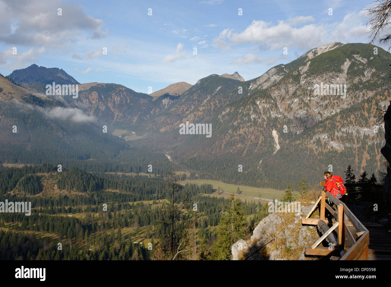 Wanderer auf dem Weg zum Baerenkopf Berg, Region Achensee, Karwendel-Gebirge, Karwendelgebirge, in der Nähe von Pertisau, Tyrol Stockfoto