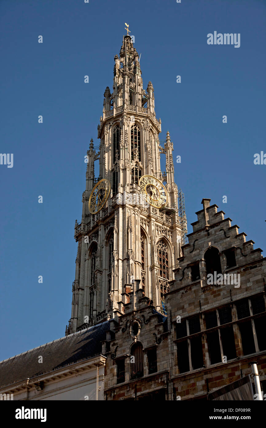 Kirche, Turm von der Onze-Lieve-Vrouwekathedraal (Kathedrale unserer lieben Frau) in Antwerpen, Belgien Stockfoto