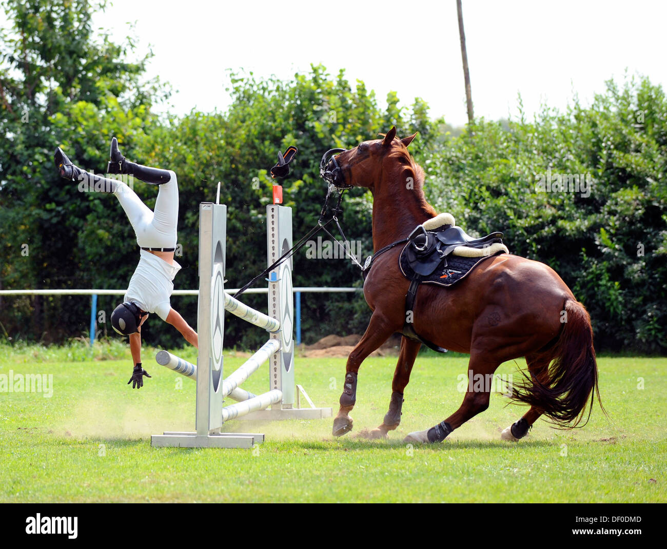 Fallen Sie vom Pferd im Springreiten, Bayern Stockfoto, Bild 60861709