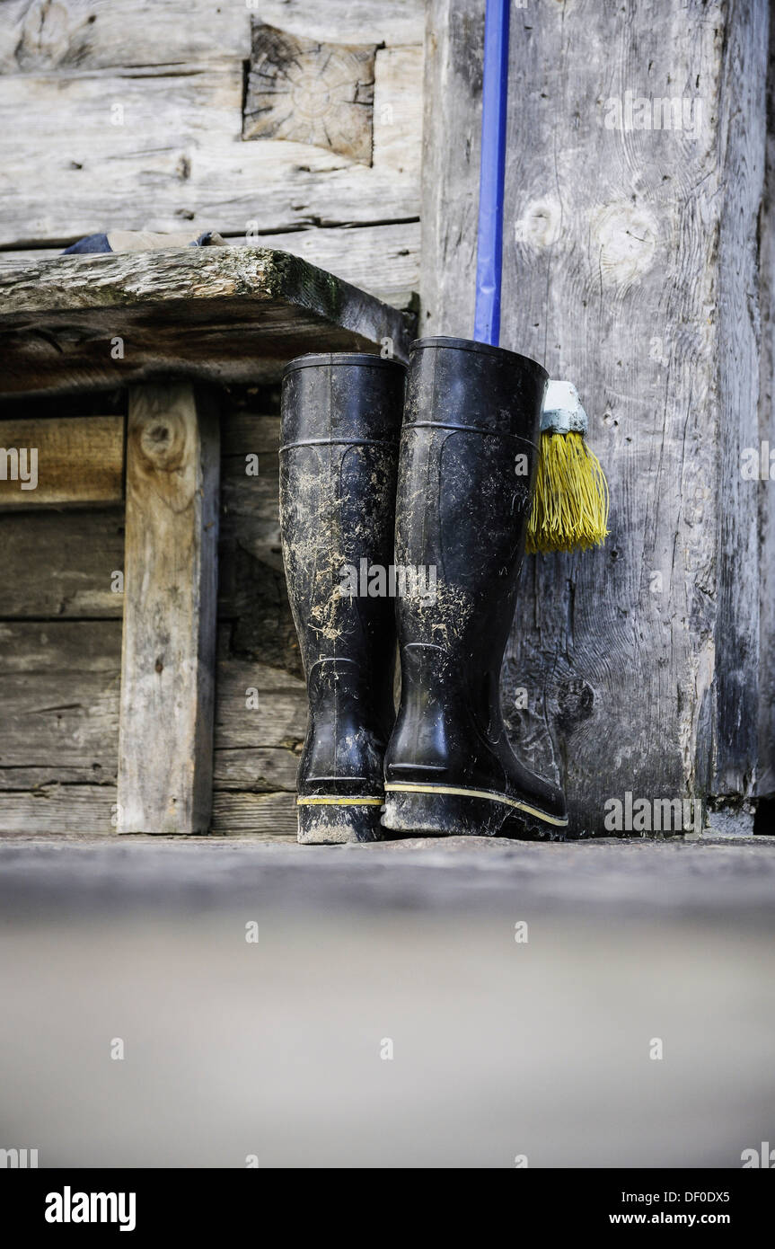 Gummistiefel auf einer Alm, Salzburg, Österreich, Europa Stockfoto