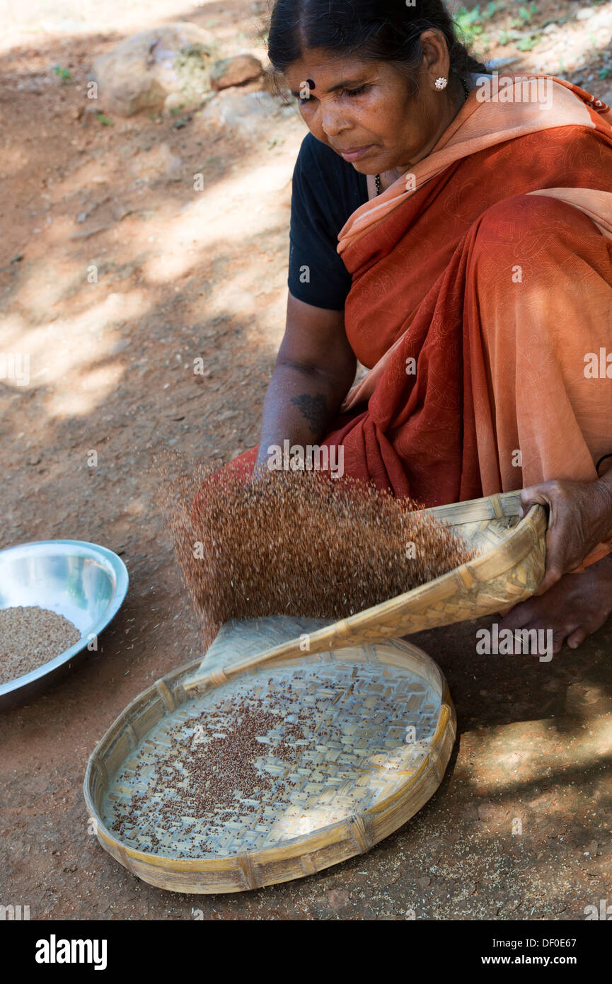 Indische Dorf Frau Sichten Fingerhirse Samen / Ragi-Hirse Samen vor dem Schleifen um Ragi-Hirse zu Mehl. Andhra Pradesh. Indien Stockfoto