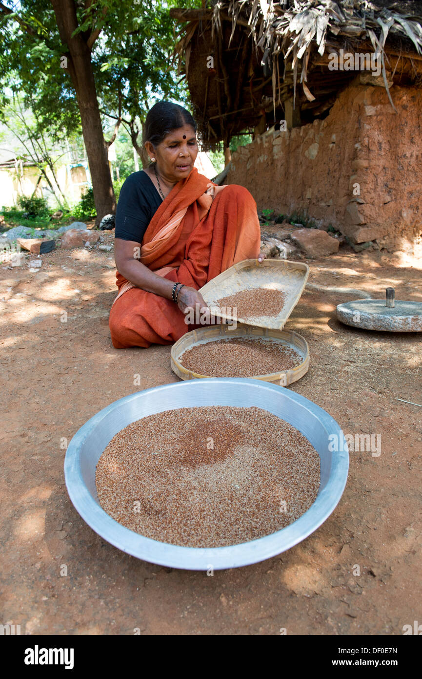 Indische Dorf Frau Sichten Fingerhirse Samen / Ragi-Hirse Samen vor dem Schleifen um Ragi-Hirse zu Mehl. Andhra Pradesh. Indien Stockfoto