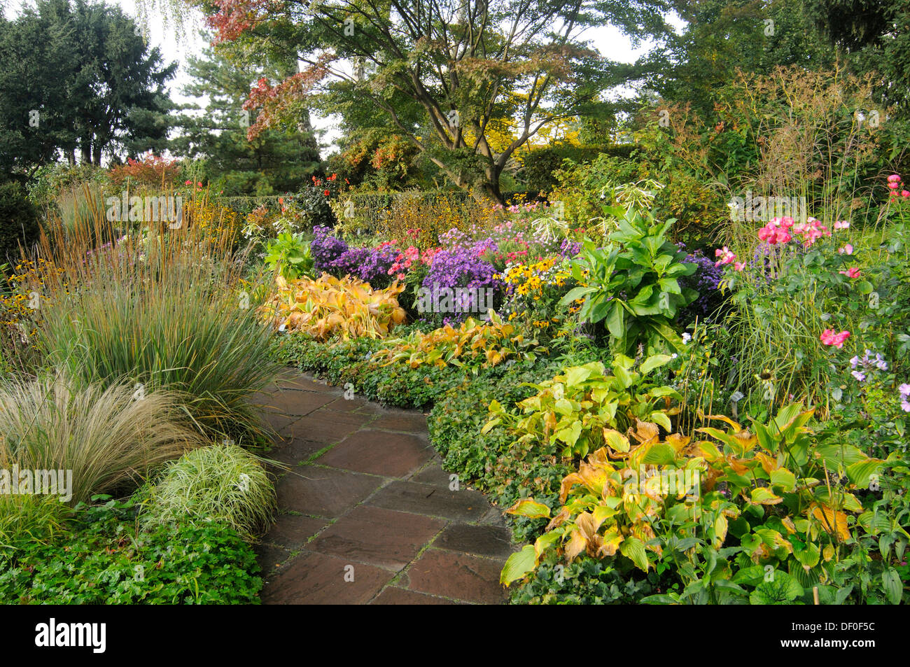 Karl Foerster Garten in Potsdam-Bornim, Brandenburg Stockfoto