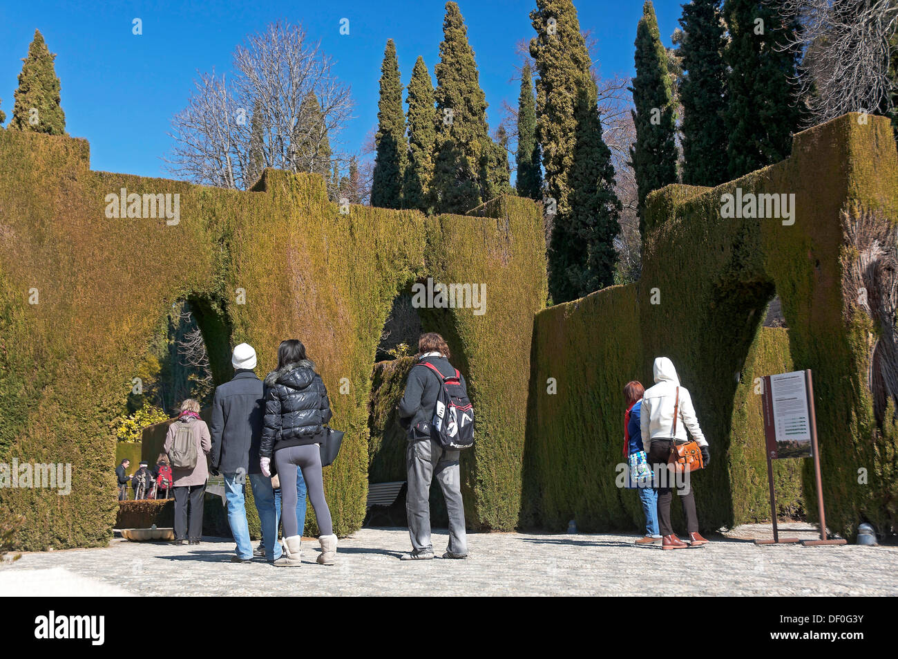 Generalife Gärten, Alhambra, Granada, Region von Andalusien, Spanien, Europa Stockfoto