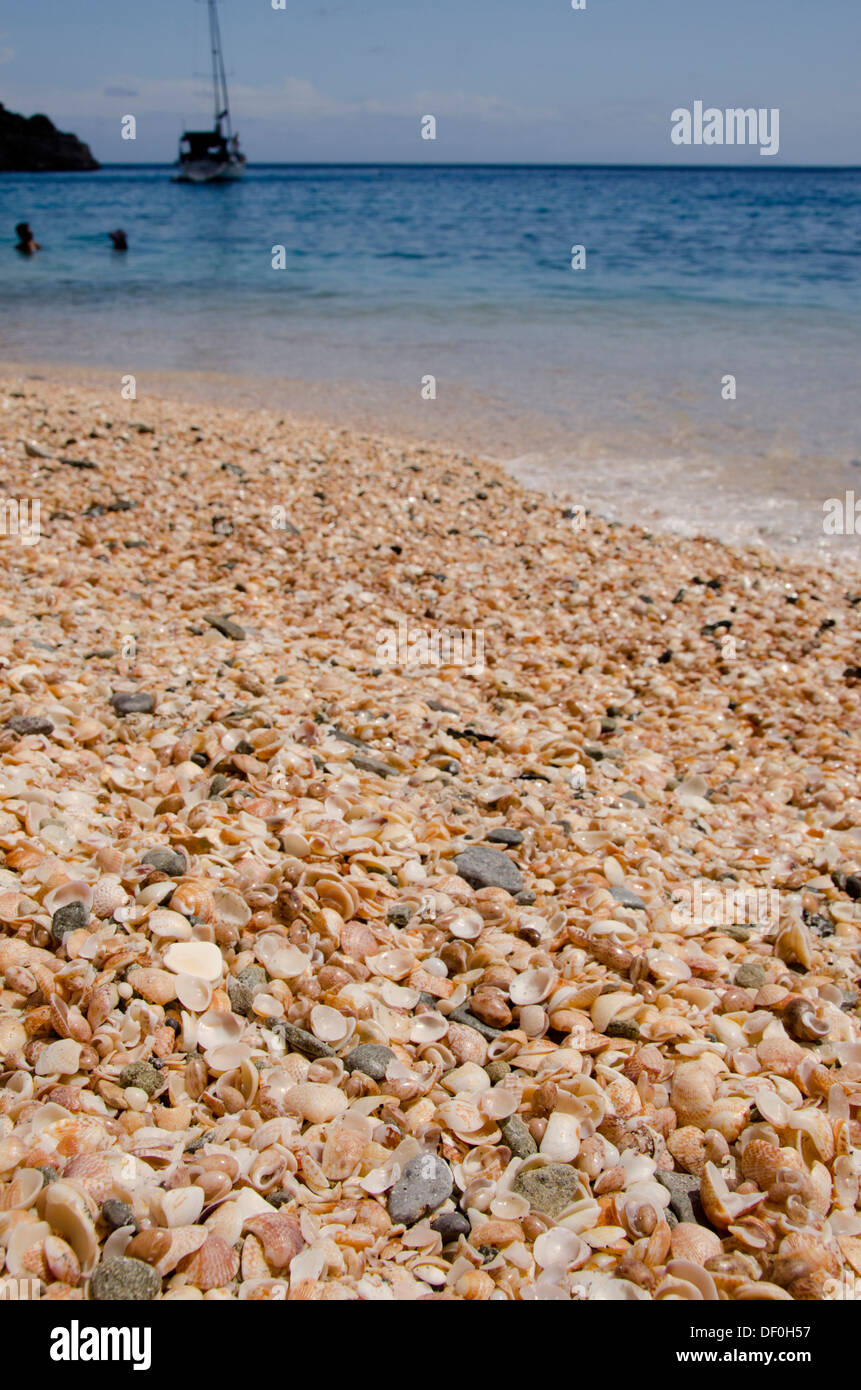 Französische Antillen, Karibik Insel Saint Barthelemy (St. Barts). Hauptstadt Stadt Gustavia, Shell Beach. Stockfoto