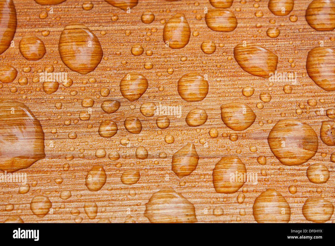 Wasser Perlen bis auf schön frisch versiegelten Zeder Holzterrassen nach einem Regenschauer am Morgen in der Hütte. Stockfoto
