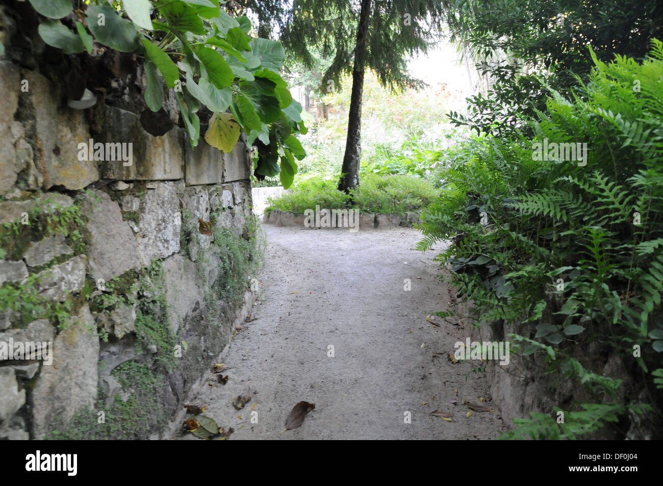 Reise nach Sintra Portugal Amilcar Abreu & Danijela Lukic Stockfoto