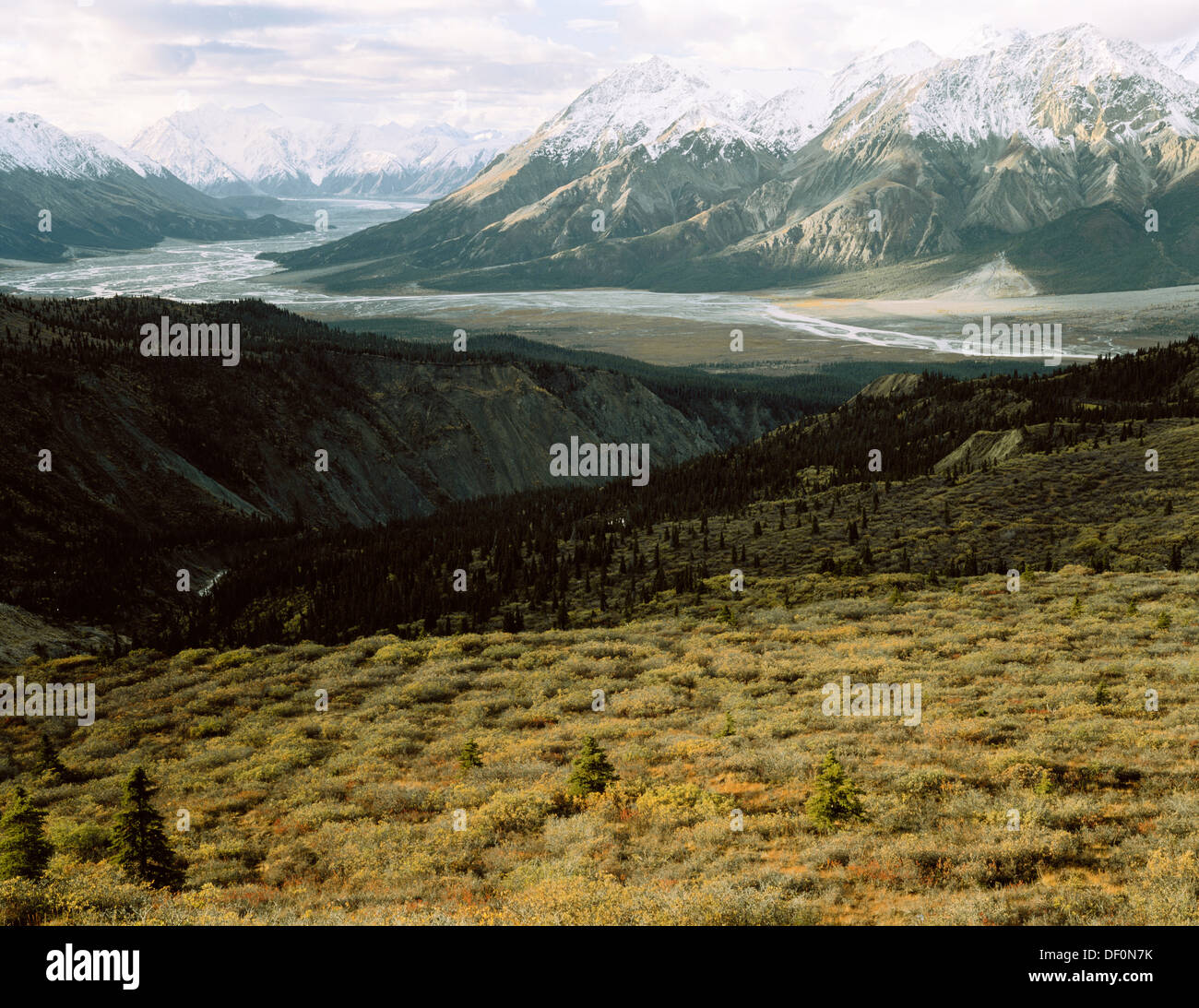Kanada, Kluane National Park, Yukon Territory, Slim River Valley im Herbst. Stockfoto