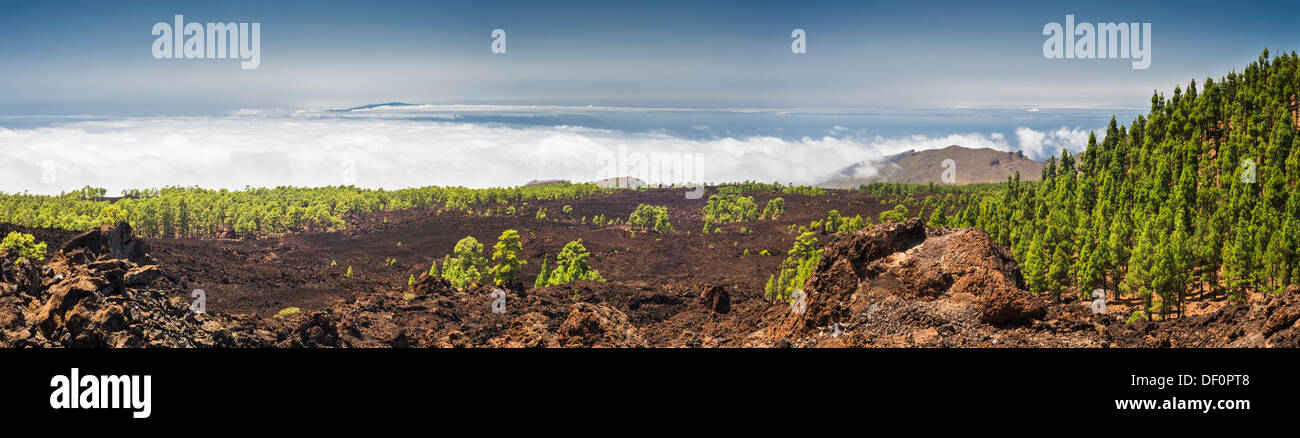 Panorama über die jungen vulkanischen Ablagerungen aus nördlich von Chio, La Gomera und La Palma in Ferne Westen Teneriffas Stockfoto