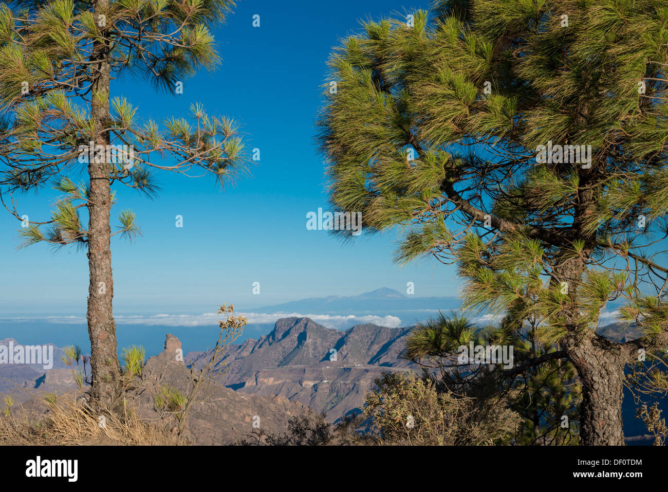 Westlich von Degollada de Becerra, Gran Canaria, mit Roque Bentayga, unten links und Vulkan Teide, Teneriffa in Ferne anzeigen Stockfoto