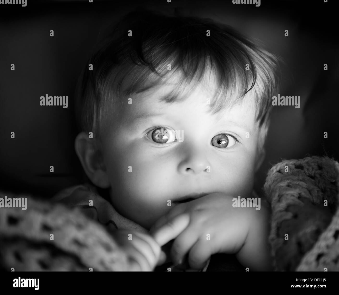 Baby Wolldecke mit grossen Augen und natürliches Licht schwarz / weiß Stockfoto