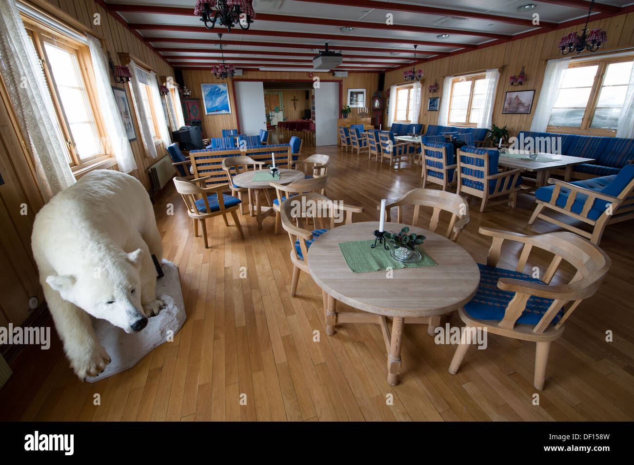 Ausgestopfter Eisbär (Ursus Maritimus) in der Ecke der Kirchensaal, Longyearbyen, Norwegen, Spitzbergen, Svalbard-Archipel Stockfoto