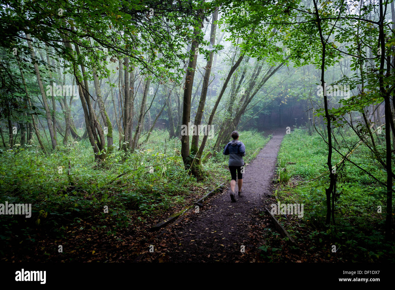 Eine Frau in einem nebligen Wald laufen. Stockfoto