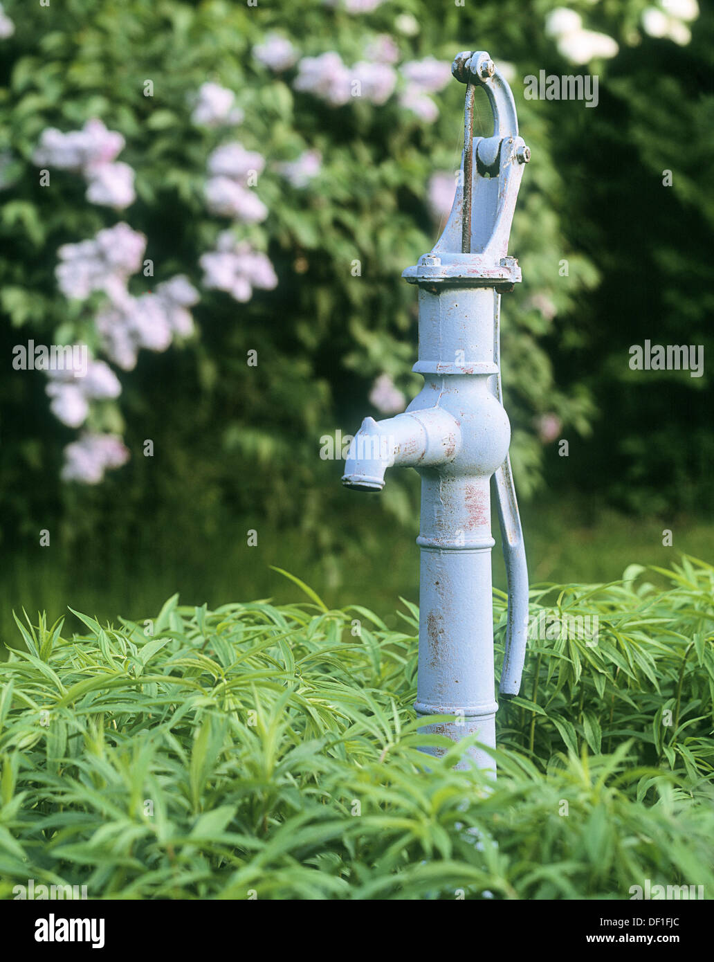 Alte manuelle Wasserpumpe im Garten. Schweden, Skandinavien, Europa  Stockfotografie - Alamy