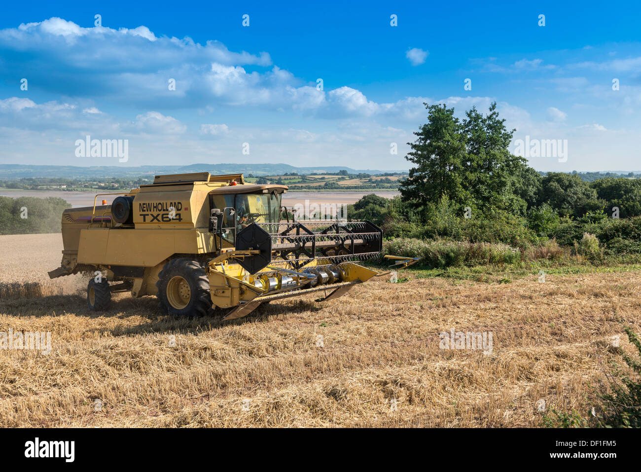 Mähdrescher im WEIZENFELD durch den Fluss SEVERN im späten Sommer Gloucestershire Engalnd UK Stockfoto
