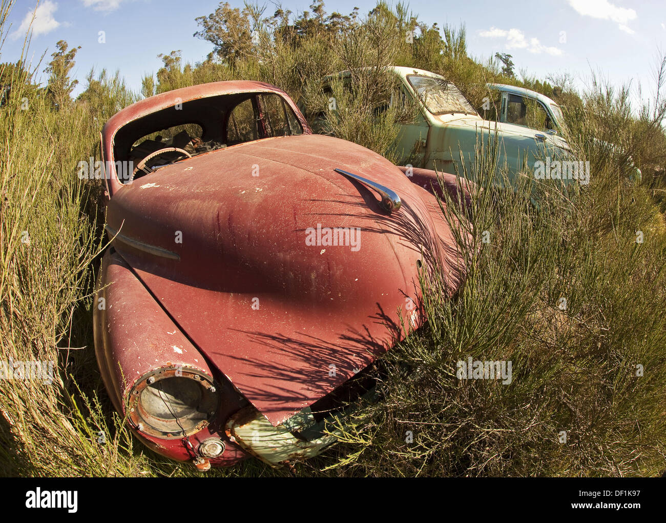 ´End des Automobils bekanntlich Yahoo - verlassene Autos, Christchurch, Canterbury, Neuseeland Stockfoto