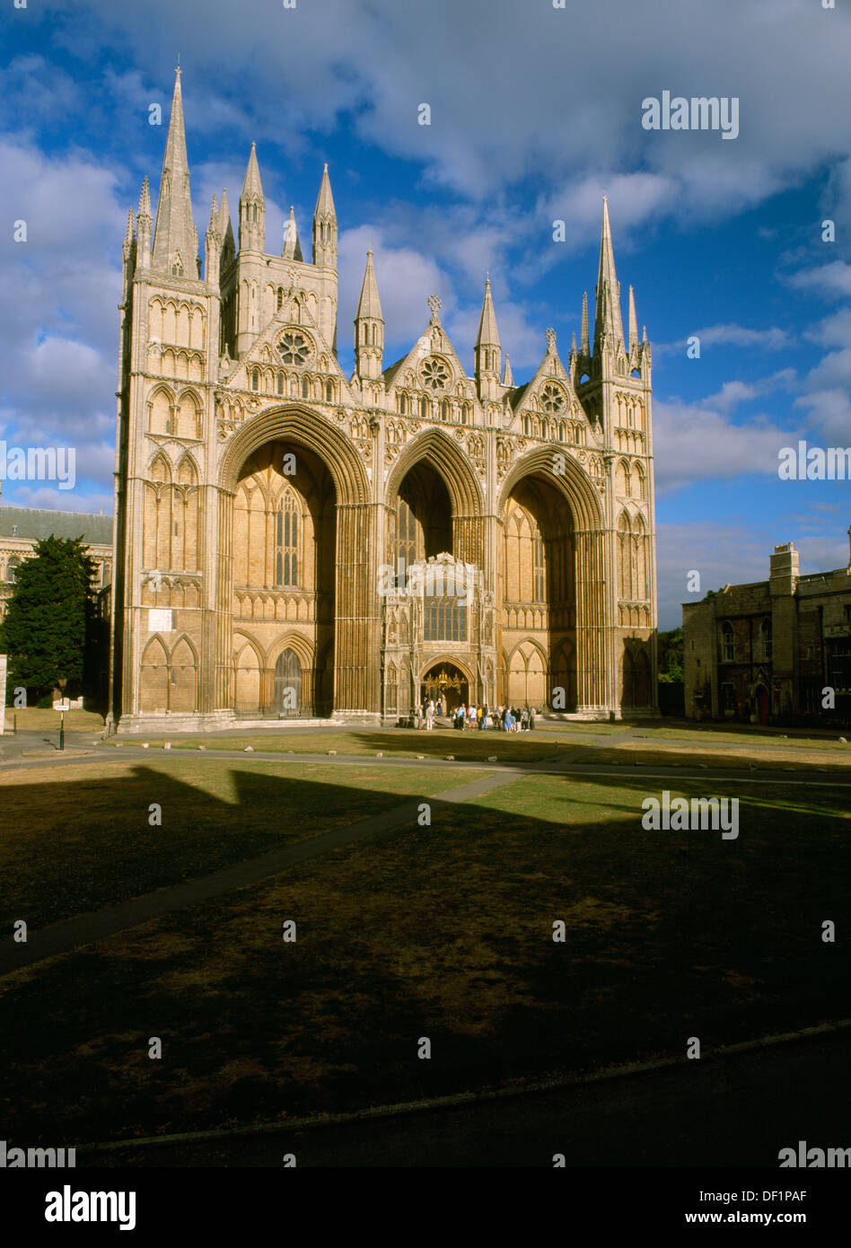 NW-Turm & Westfassade von Peterborough Kathedrale (St.-Peter Kirche) mit frühen englischen Gotik Bildschirm Wand & flankierenden Türmen. Kirchgänger in der Sonne. Stockfoto