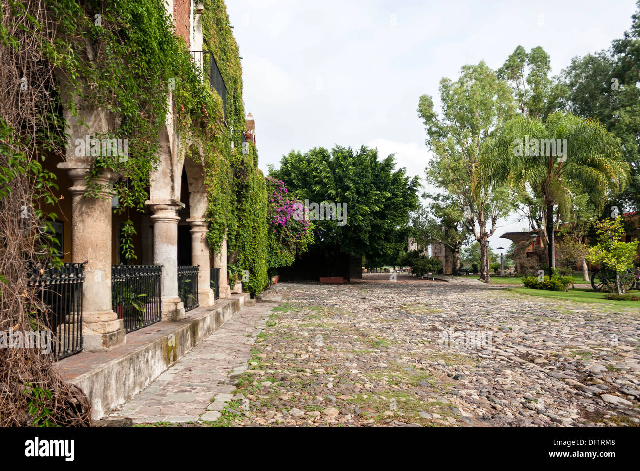 Säulengang, Kopfsteinpflaster Motor Hof und Einfahrt, Garten und Gelände auf einer alten spanischen koloniale Hacienda. Stockfoto
