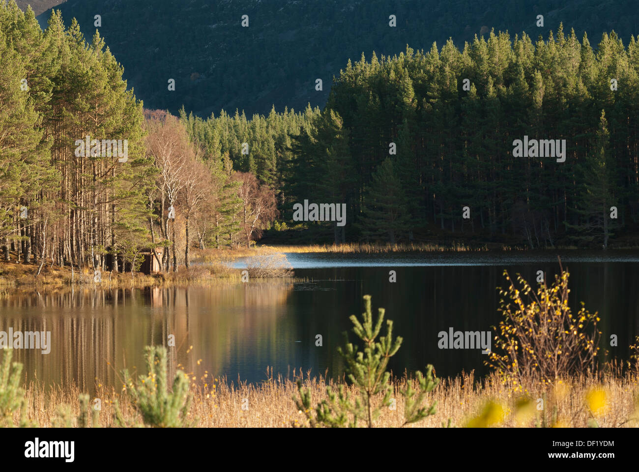 Bild ausblenden auf Uath Tümpeln, Schottland. Stockfoto