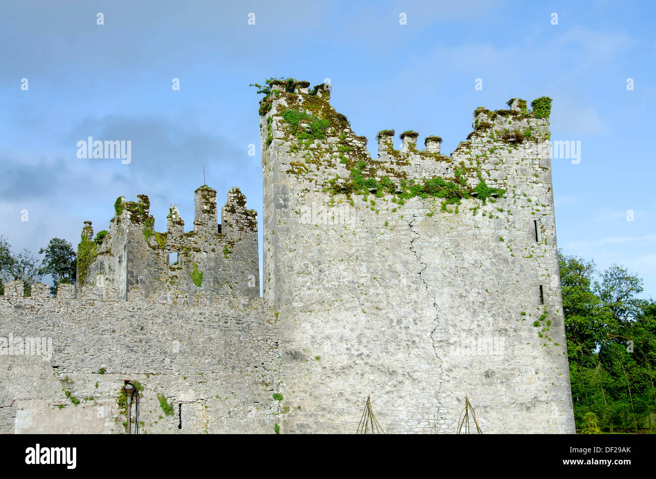Turm und Schornsteine auf der 800 Jahre alten Burg zugeschrieben die Tempelritter in Castlemartyr Resort, County Cork, Irland. Stockfoto